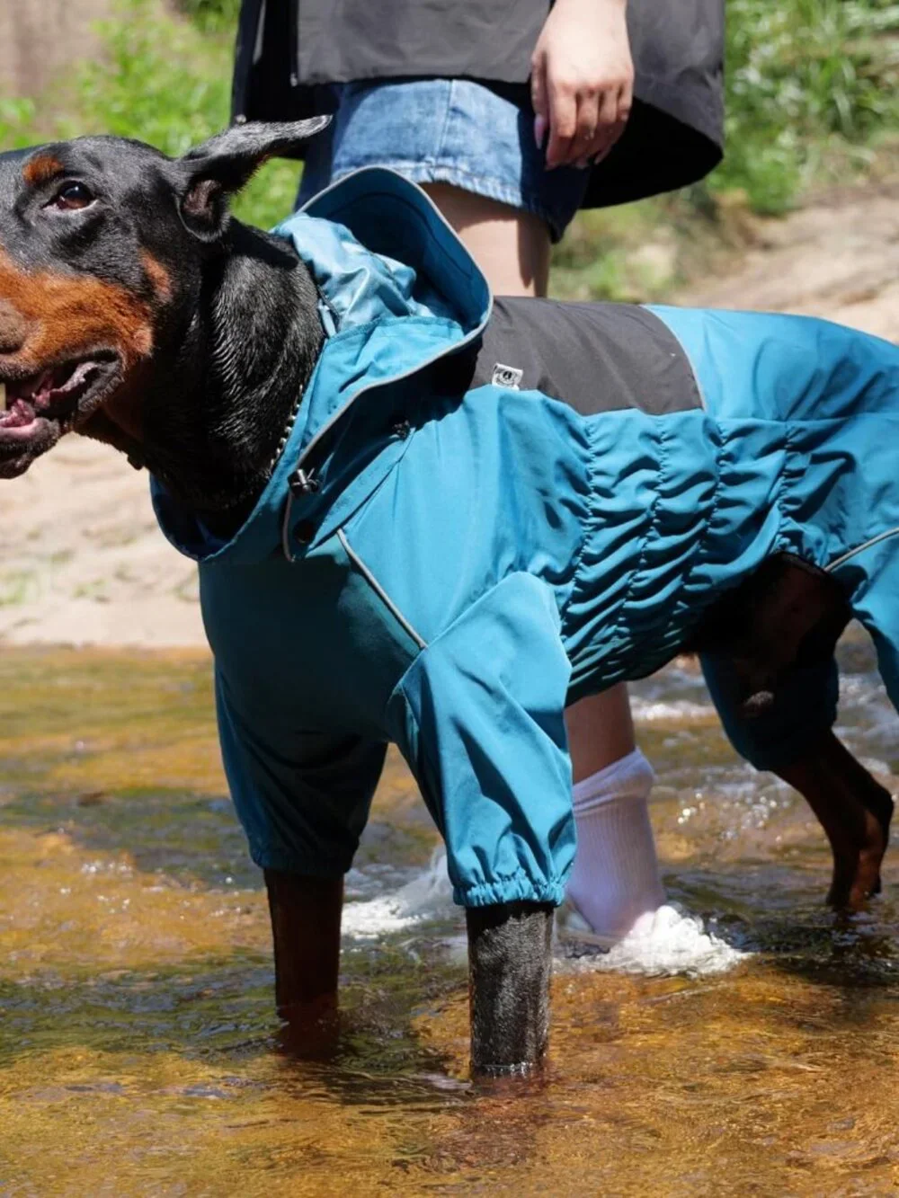 LOVELONGLONG Waterproof Dog Raincoat